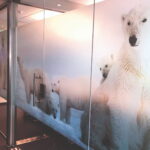 Statische zandstraal raamfolie – Frost op maat - foto 2